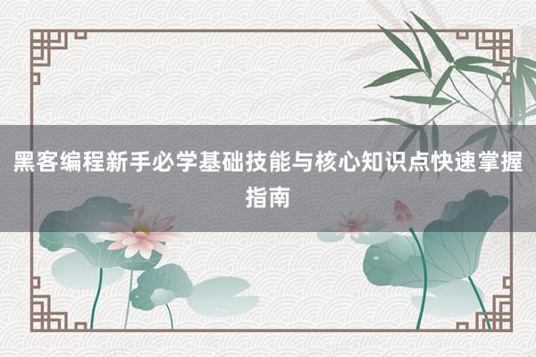 黑客编程新手必学基础技能与核心知识点快速掌握指南