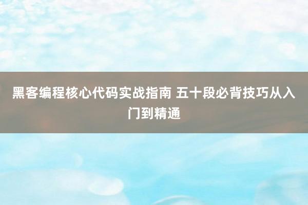 黑客编程核心代码实战指南 五十段必背技巧从入门到精通